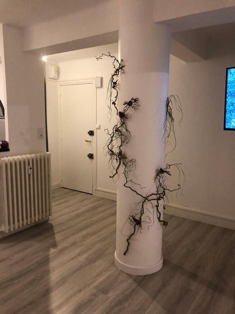 Dupuy T3 Aseptise Apartment Тулуза Екстериор снимка